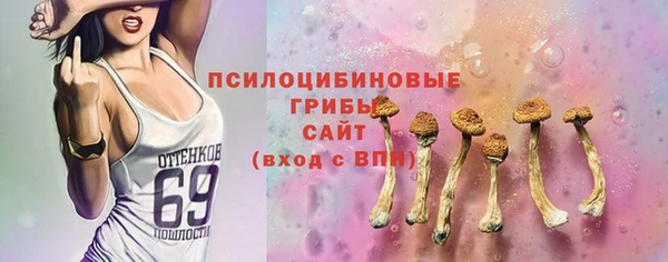 трава Армянск