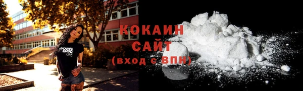 шишки Аркадак