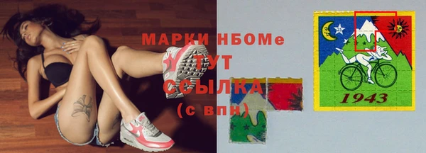 шишки Аркадак