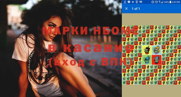 шишки Аркадак