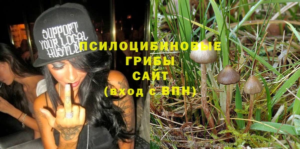 шишки Аркадак