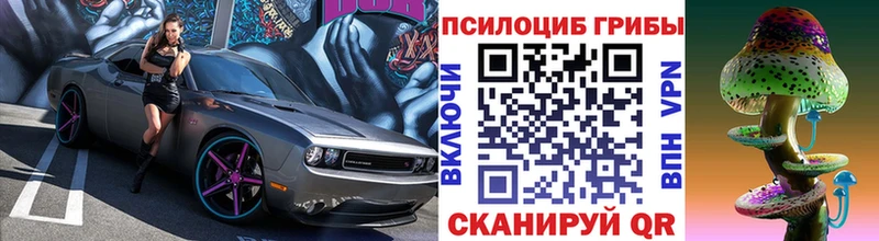 закладки  Рославль  Псилоцибиновые грибы ЛСД 