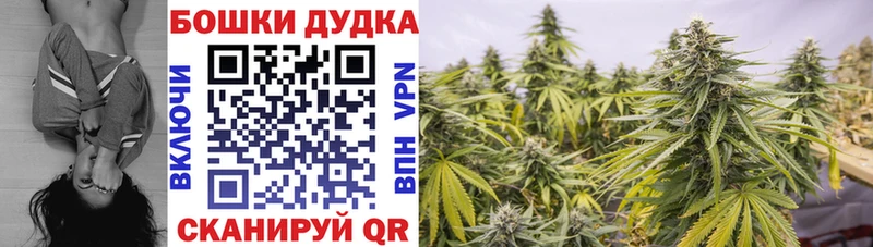 Бошки марихуана семена хочу наркоту Рославль